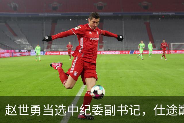 赵世勇当选中纪委副书记，仕途巅峰再度刷新